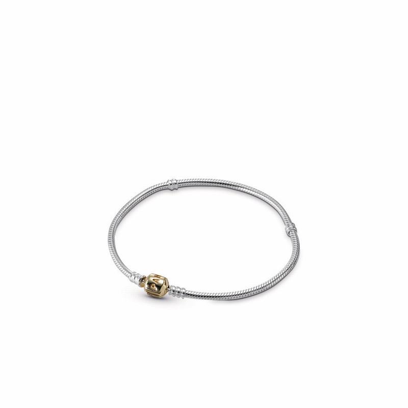 Pandora Silver Charm Bracelet With 14K Gold Clasp Online NZ, Two Tone (037168-ADV)